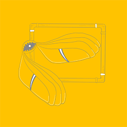 Physarum, Cryptic Quarter