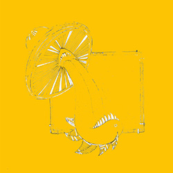 Physarum, Manic Attic