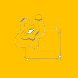 Physarum, Gemmy Umbra